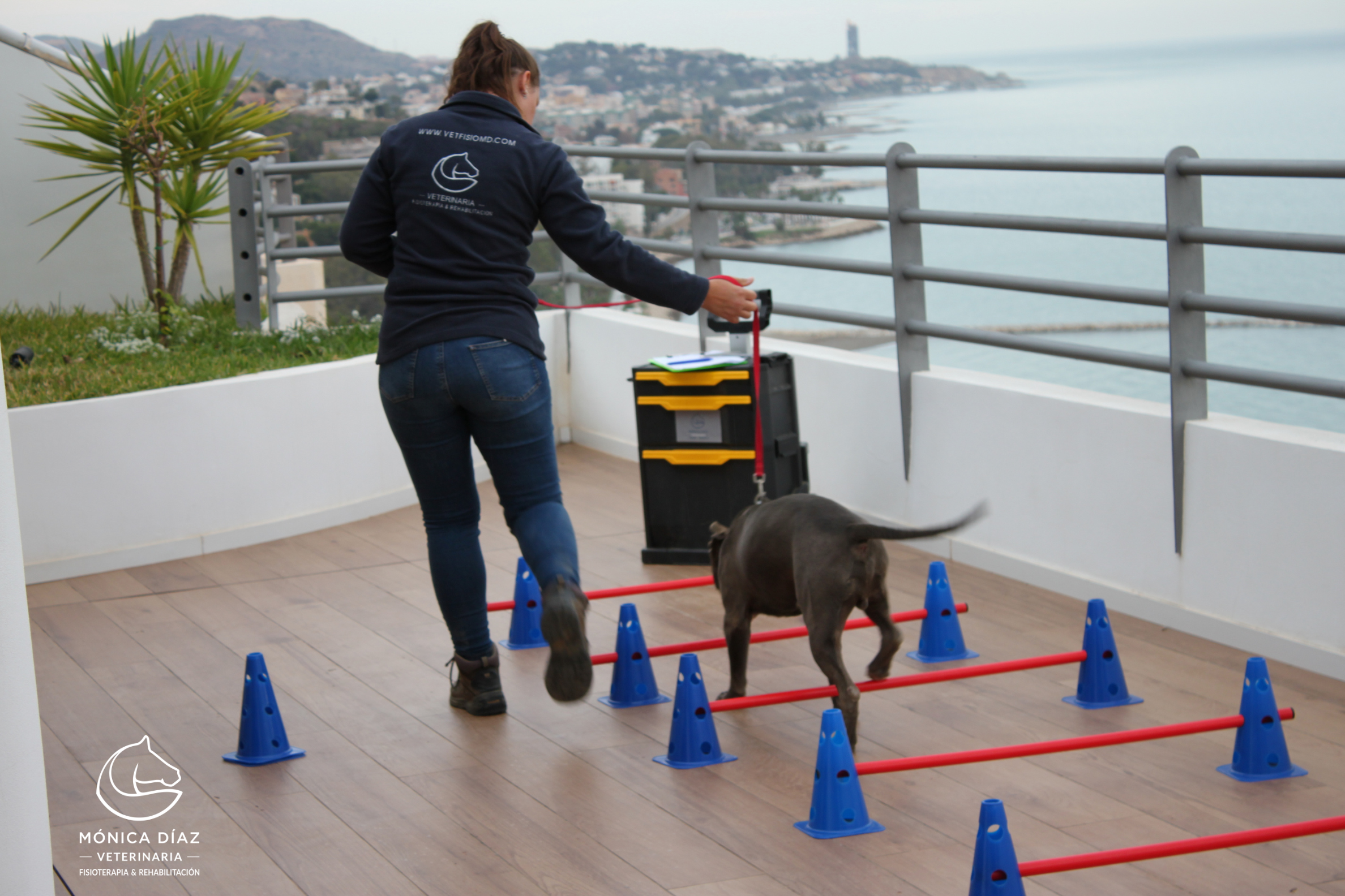 Ejercicio terapéutico